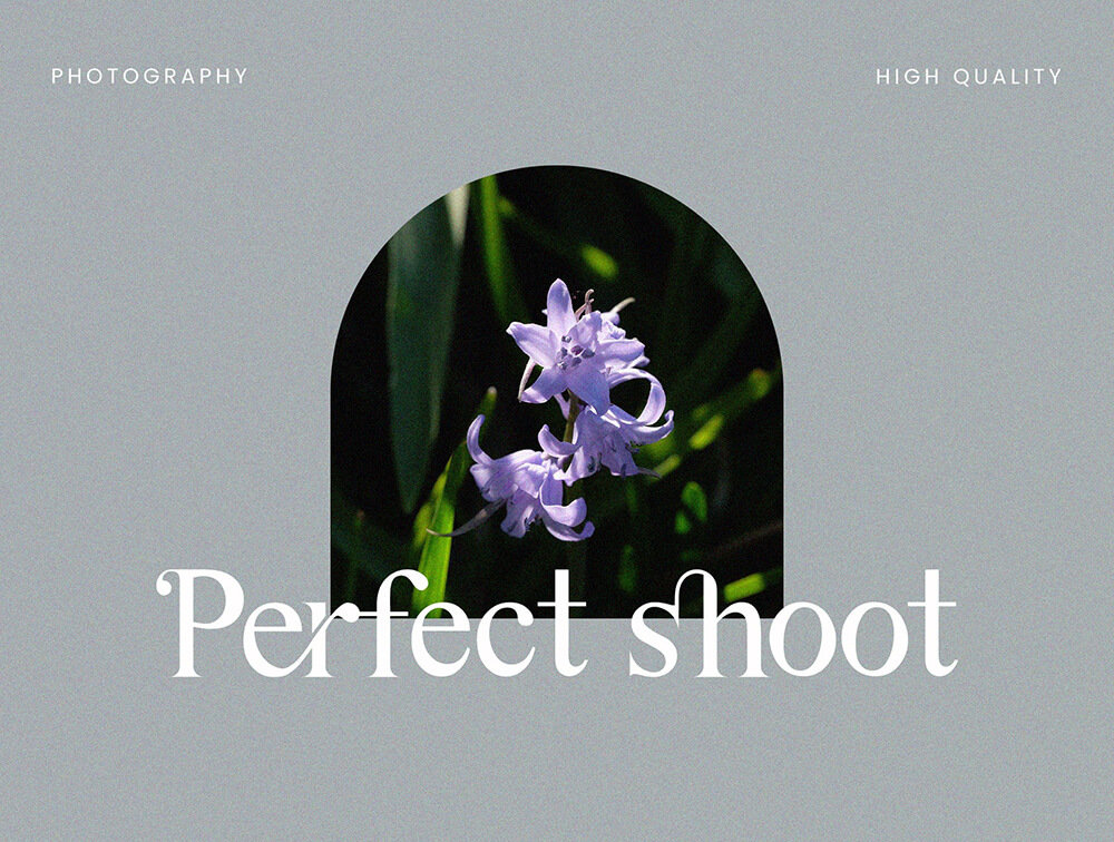 品牌设计衬线字体素材 设计素材 sucaiwan.com