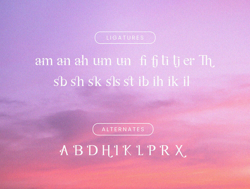 品牌设计衬线字体素材 设计素材 sucaiwan.com