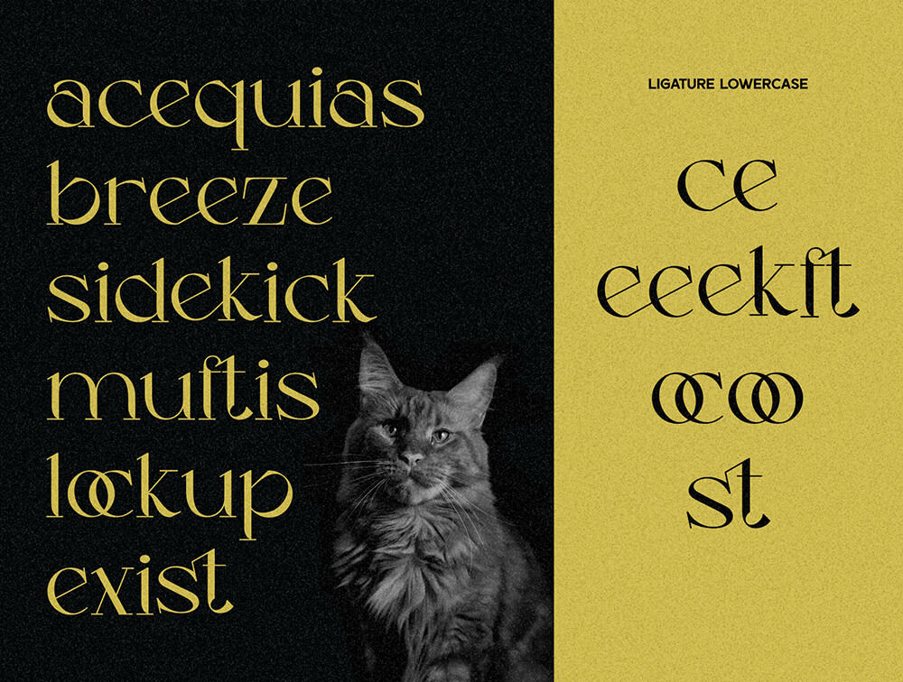 花式现代衬线显示字体 设计素材 sucaiwan.com