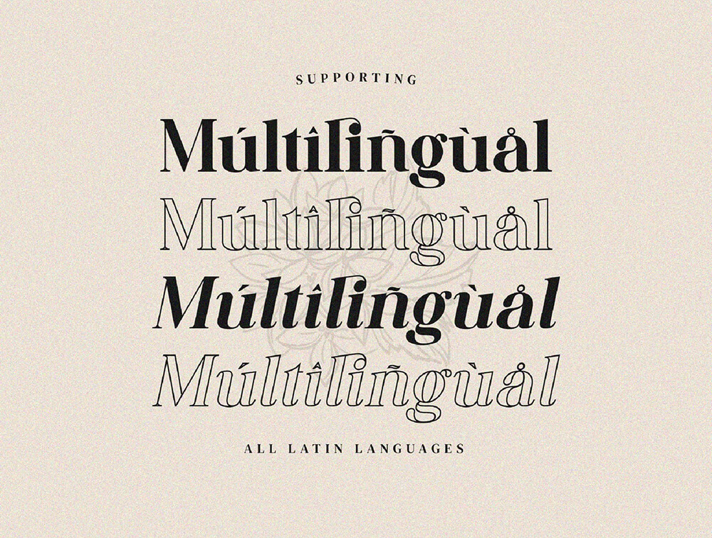 时尚连字家族字体素材 设计素材 sucaiwan.com