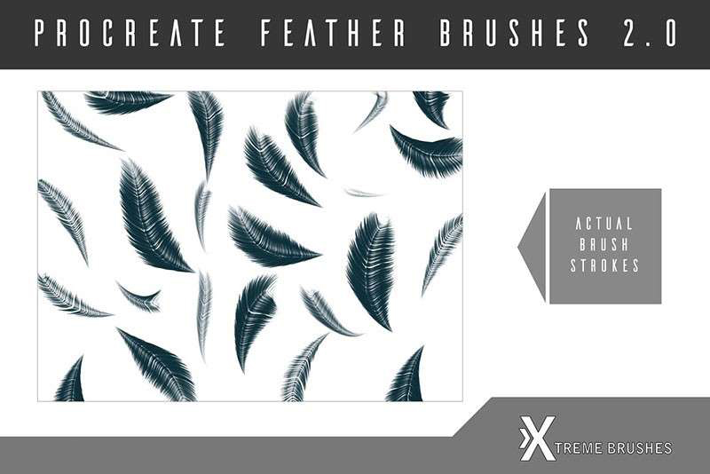 8种Procreate羽毛笔刷 笔刷资源 sucaiwan.com