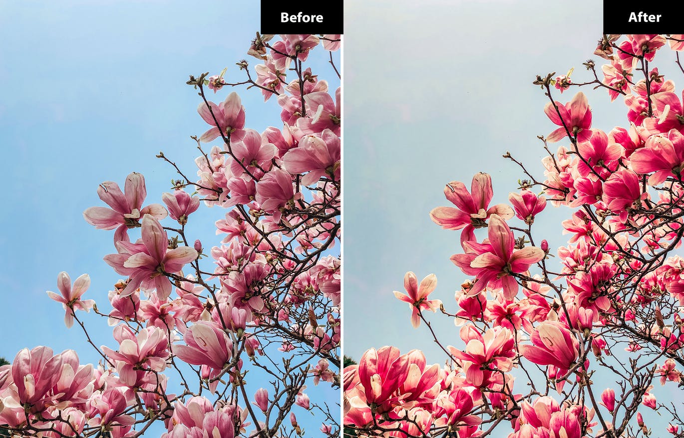 春季风景照后期修图LR+PS预设 5 Spring | Lightroom and Photoshop 插件预设 sucaiwan.com