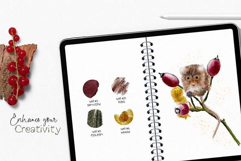 自然与动物水彩绘本Procreate笔刷 笔刷资源 sucaiwan.com