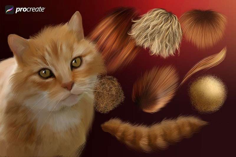 32个逼真的动物绒毛Procreate笔刷 笔刷资源 sucaiwan.com
