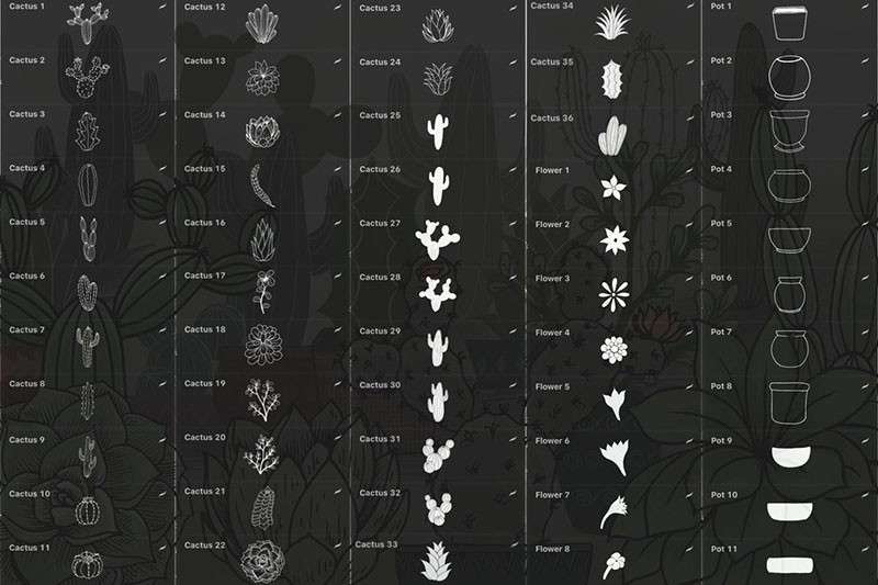 仙人掌盆栽线描画Procreate笔刷 笔刷资源 sucaiwan.com