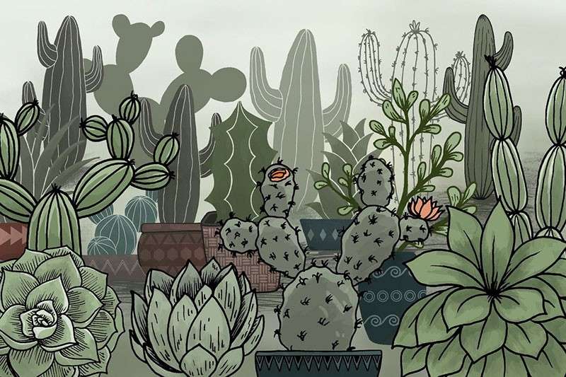 仙人掌盆栽线描画Procreate笔刷 笔刷资源 sucaiwan.com