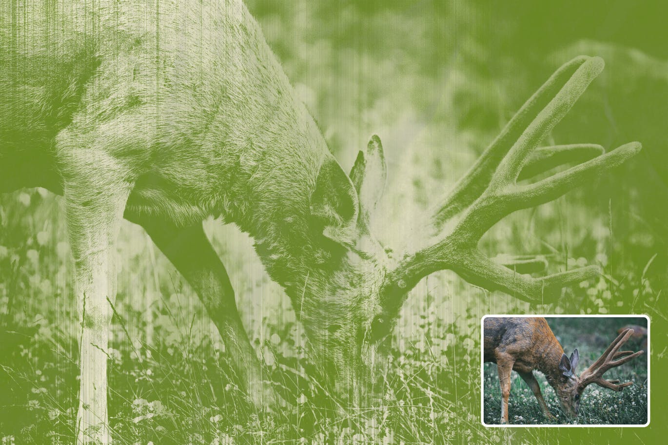 复古彩色打印照片效果处理PS动作 Color Print Photoshop Action 插件预设 sucaiwan.com