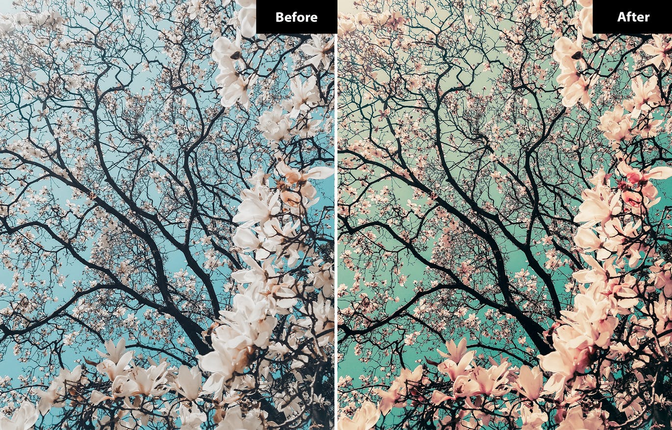 春季风景照后期修图LR+PS预设 5 Spring | Lightroom and Photoshop 插件预设 sucaiwan.com