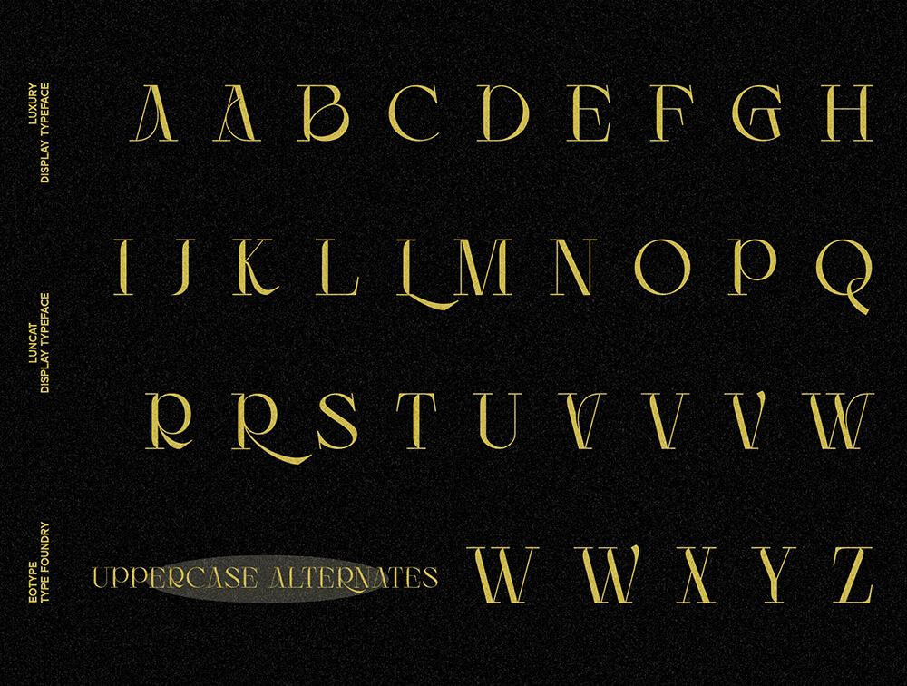 花式现代衬线显示字体 设计素材 sucaiwan.com