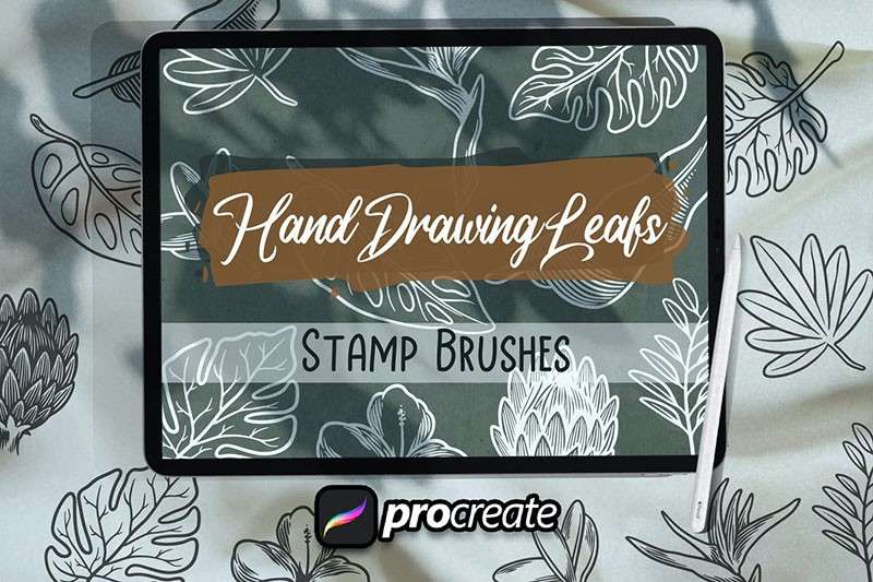 4套植物线描画Procreate笔刷 笔刷资源 sucaiwan.com