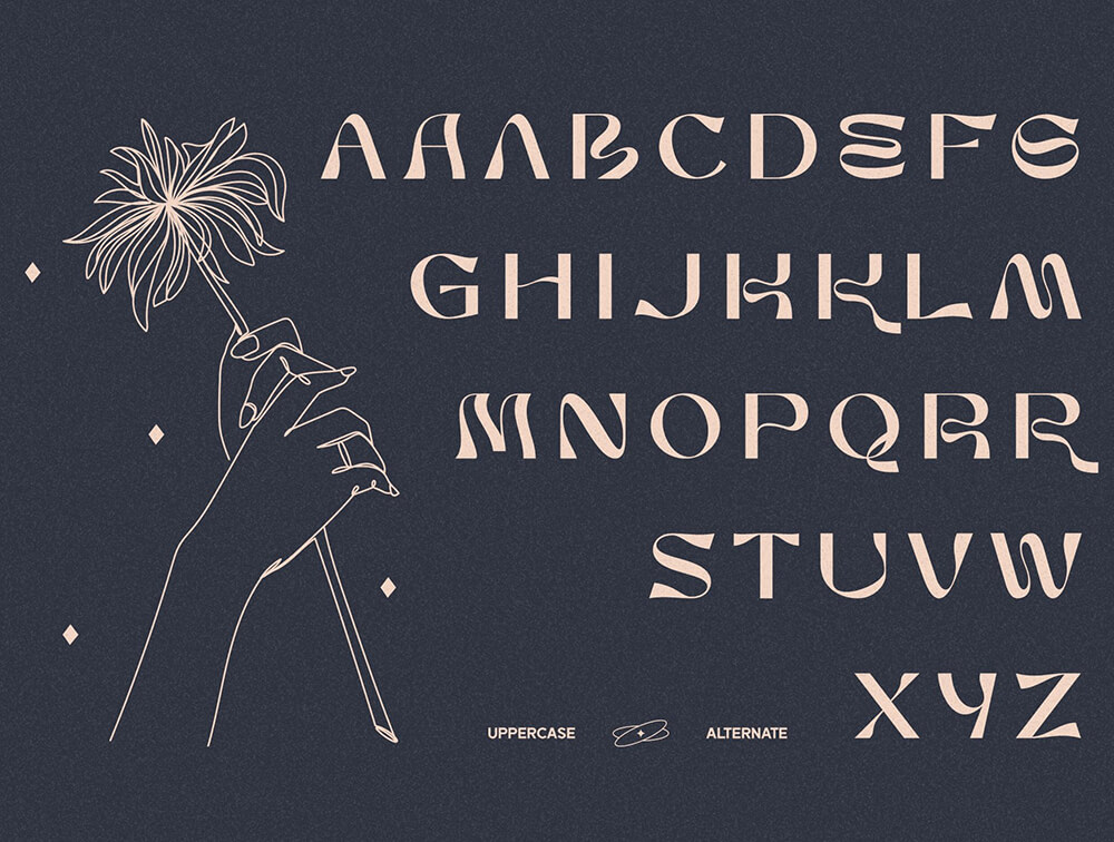 宽大无衬线显示字体 设计素材 sucaiwan.com