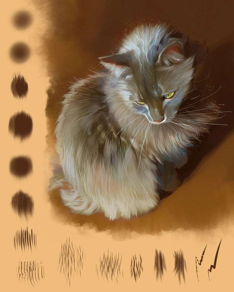 15个动物毛皮纹理PS和Procreate笔刷 笔刷资源 sucaiwan.com