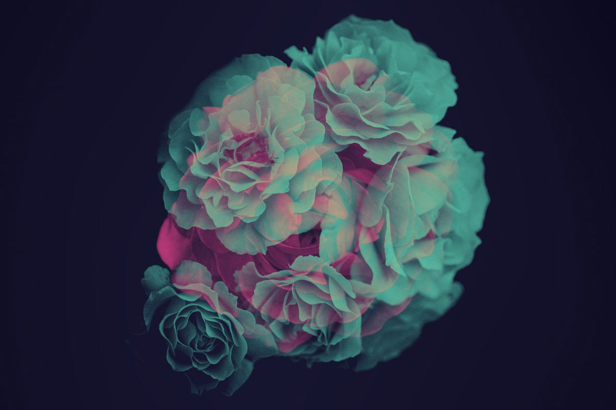 复古风创意玫瑰紫丁香花卉笔刷PS画笔笔刷素材 Elegant Flower Brushes for Photoshop 笔刷资源 第8张-素材湾丨精选海外优质设计素材资源 复古风创意玫瑰紫丁香花卉笔刷PS画笔笔刷素材 Elegant Flower Brushes for Photoshop 笔刷资源 sucaiwan.com