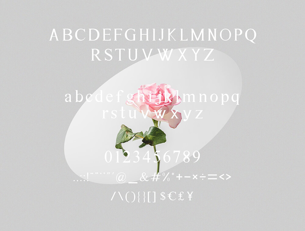 品牌设计衬线字体素材 设计素材 sucaiwan.com