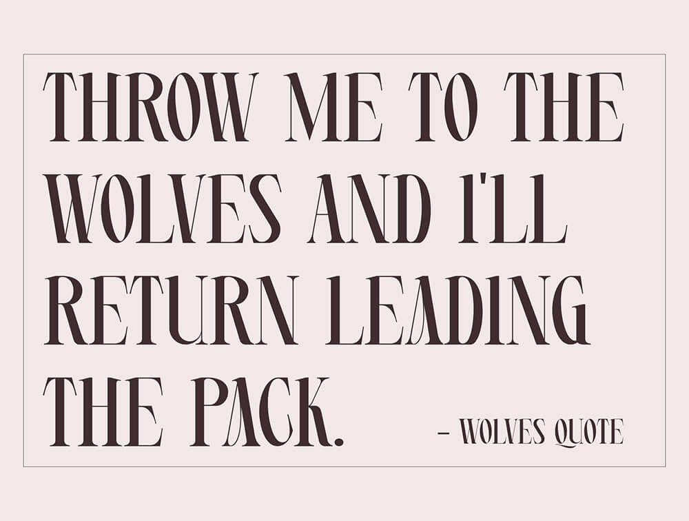 衬线浓缩字体 设计素材 sucaiwan.com