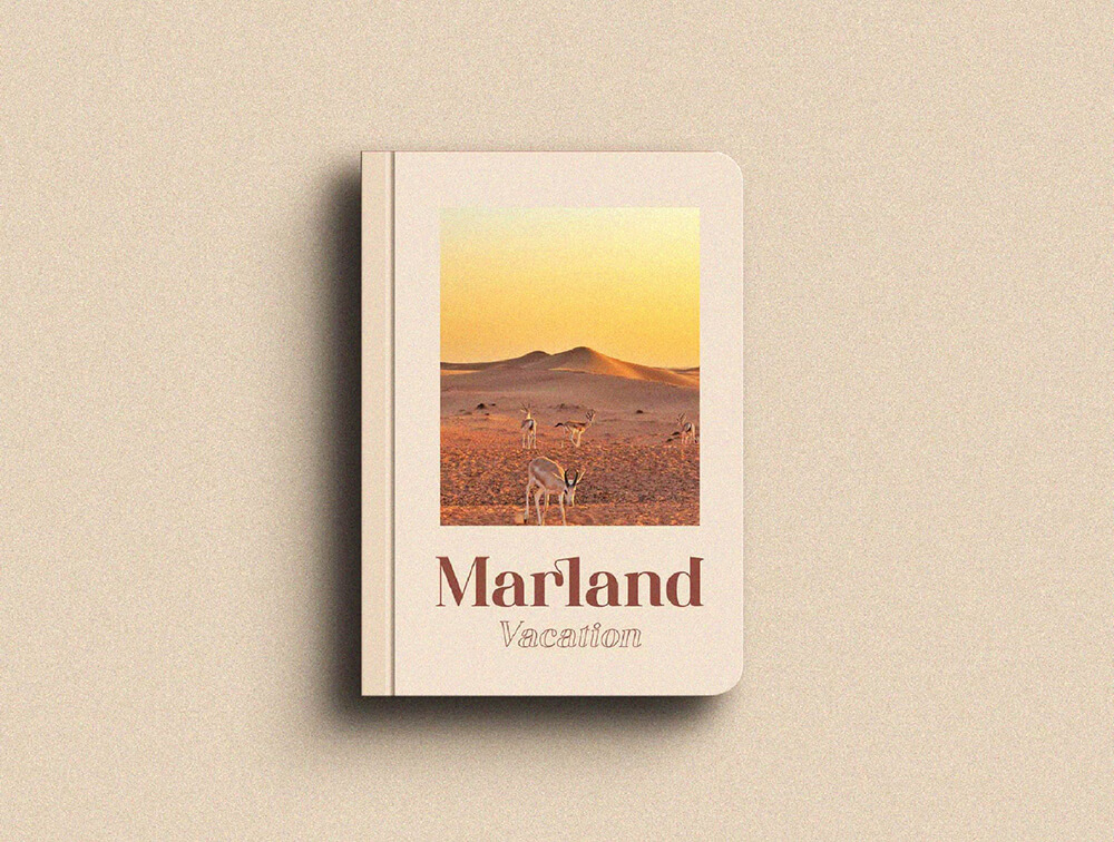 时尚连字家族字体素材 设计素材 sucaiwan.com