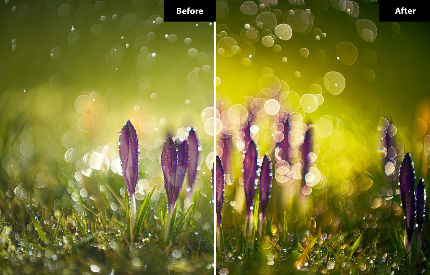 春季风景照后期修图LR+PS预设 5 Spring | Lightroom and Photoshop 插件预设 sucaiwan.com