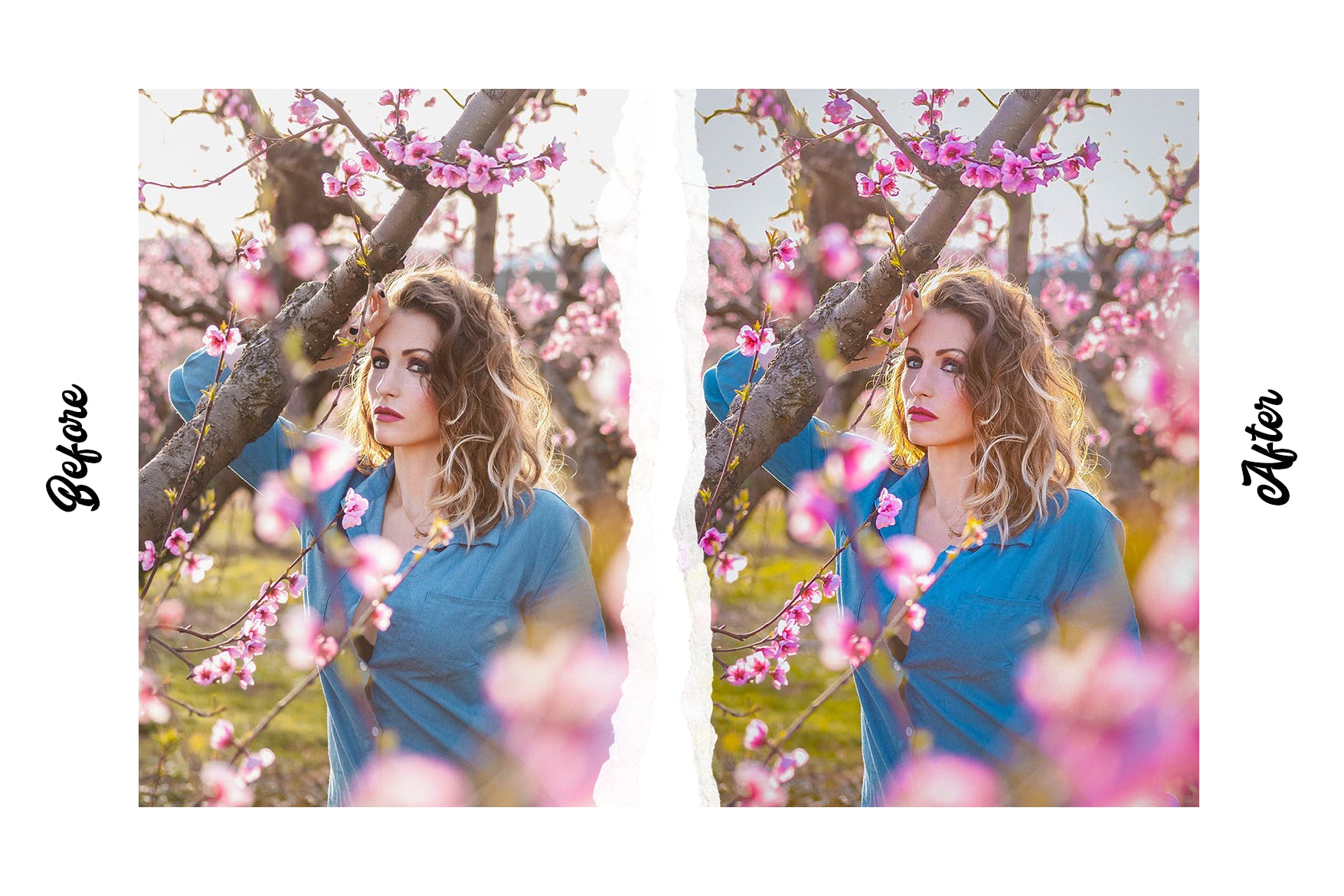 15个高级的春季摄影LR照片调色预设 Spring – 15 Premium Lightroom Presets 插件预设 sucaiwan.com