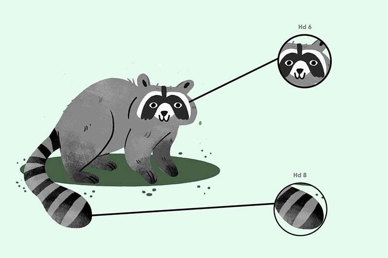 10支Procreate实用手绘笔刷 笔刷资源 sucaiwan.com