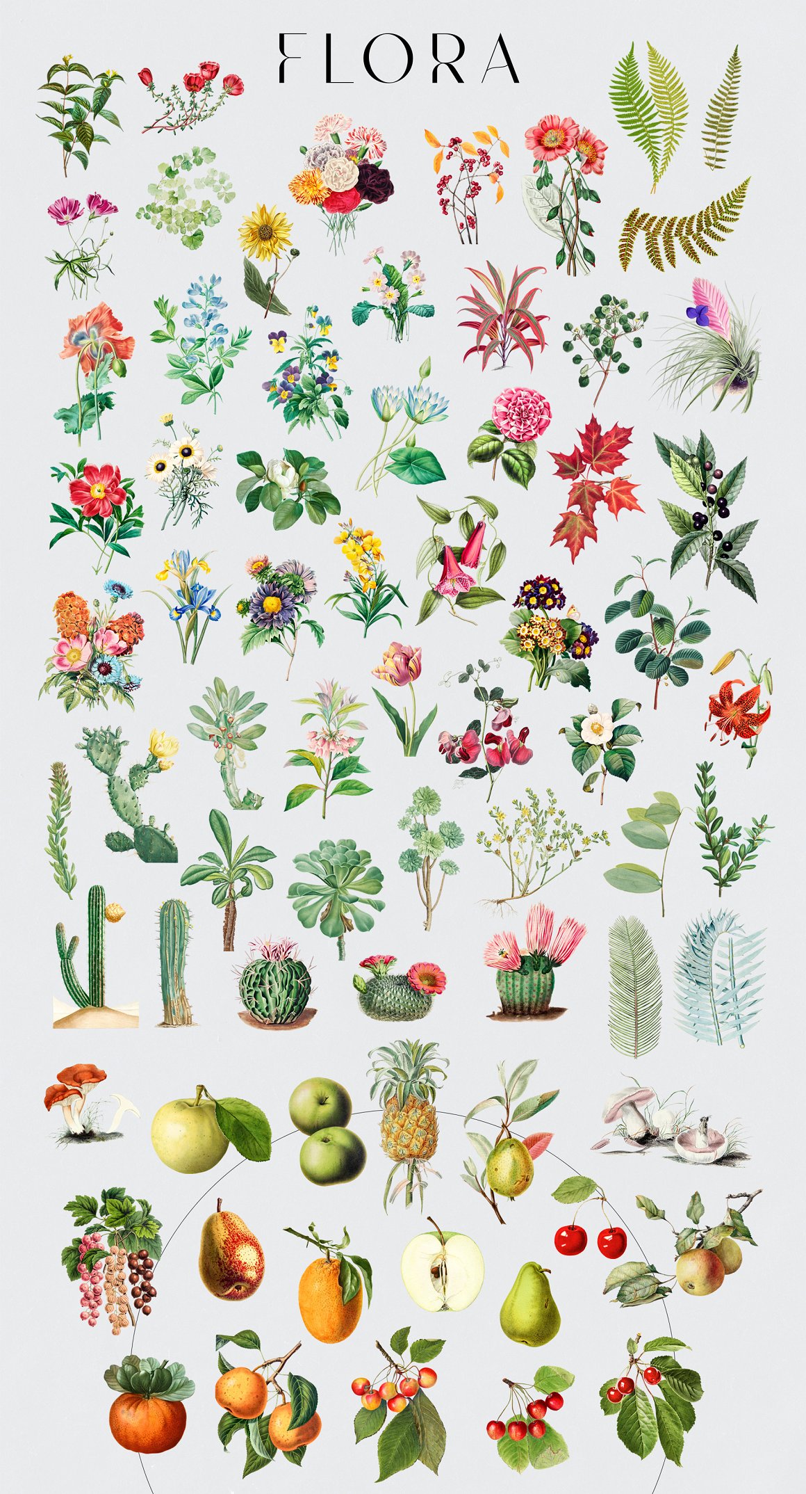 复古蒸汽波植物动物鸟蝴蝶人物花草树木建筑PNG免抠图合集包 Sweven – Collage Creator 图片素材 第12张-素材湾丨精选海外优质设计素材资源 复古蒸汽波植物动物鸟蝴蝶人物花草树木建筑PNG免抠图合集包 Sweven – Collage Creator 图片素材 sucaiwan.com