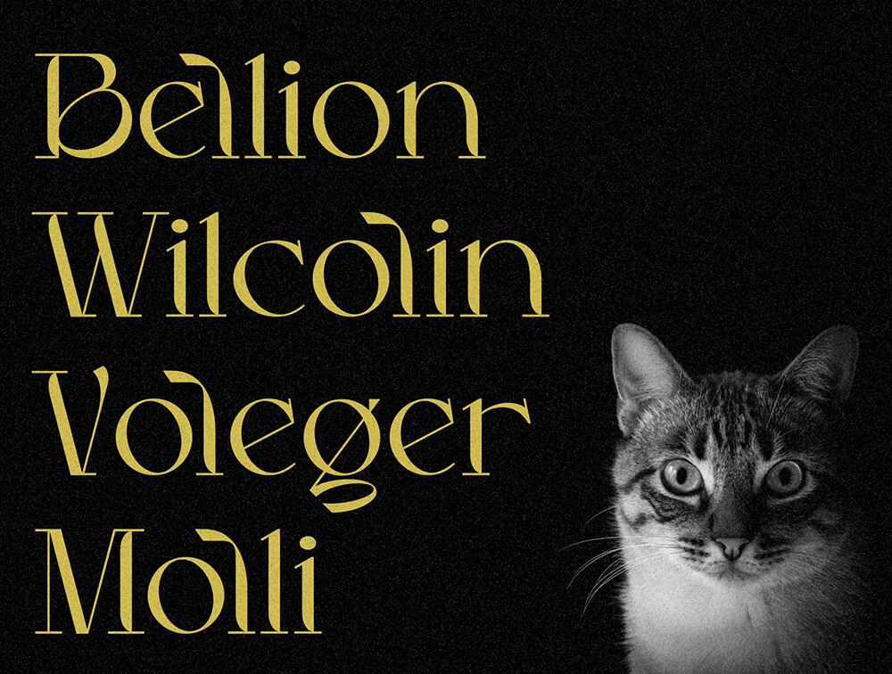 花式现代衬线显示字体 设计素材 sucaiwan.com