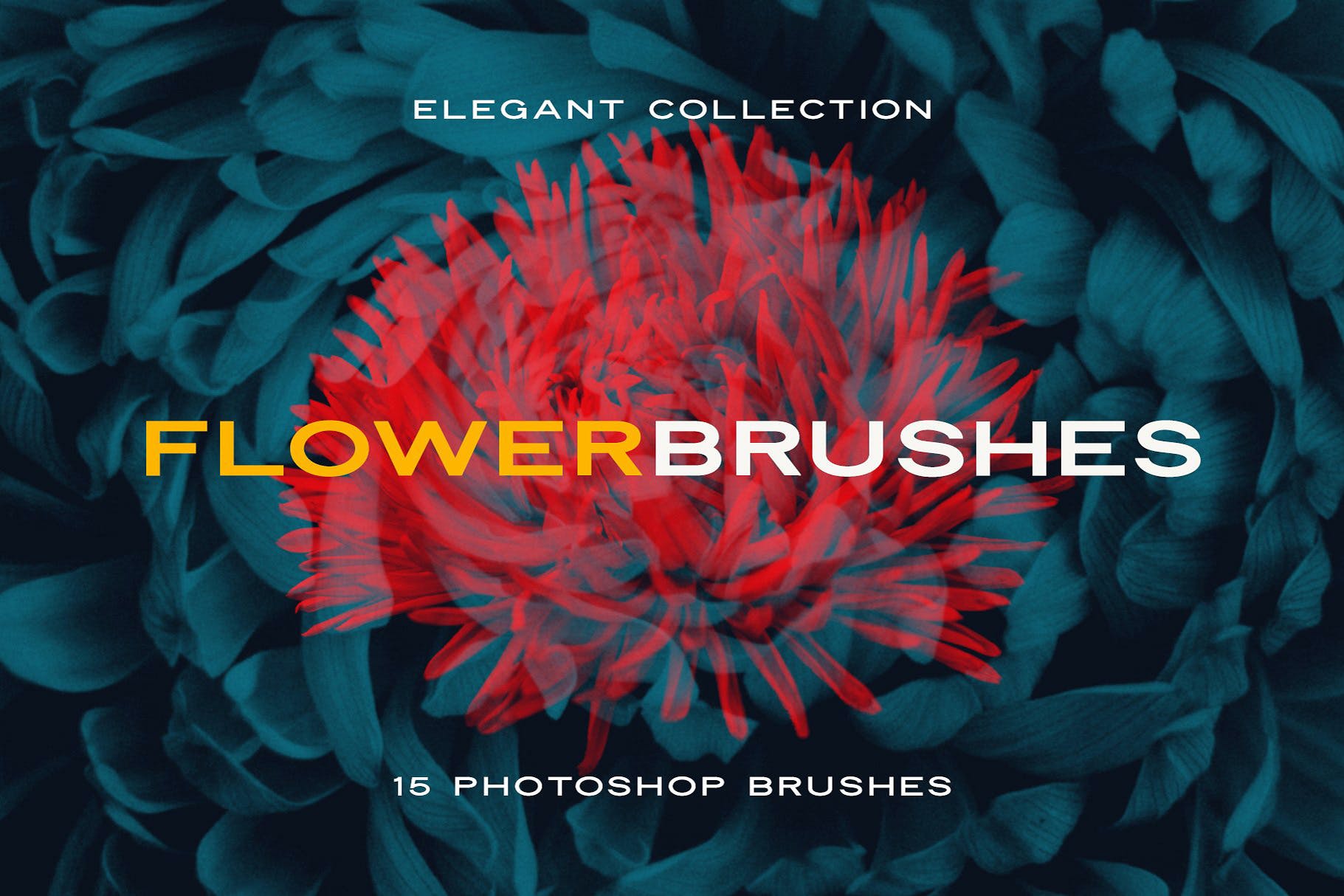 复古风创意玫瑰紫丁香花卉笔刷PS画笔笔刷素材 Elegant Flower Brushes for Photoshop 笔刷资源 第1张-素材湾丨精选海外优质设计素材资源 复古风创意玫瑰紫丁香花卉笔刷PS画笔笔刷素材 Elegant Flower Brushes for Photoshop 笔刷资源 sucaiwan.com