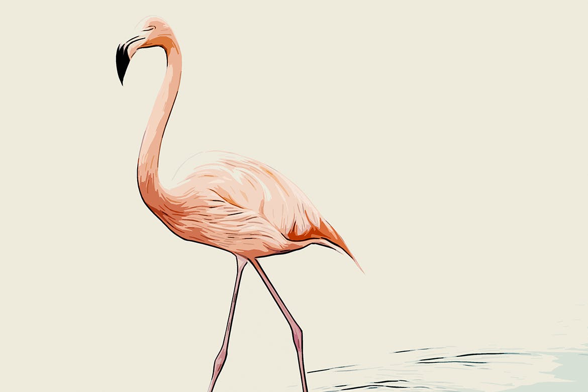 矢量绘画效果照片处理PS动作 Vector Draw Photoshop Action 插件预设 sucaiwan.com