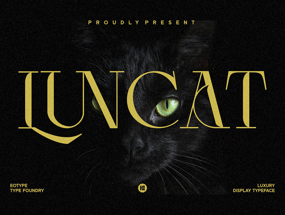 花式现代衬线显示字体 设计素材 sucaiwan.com