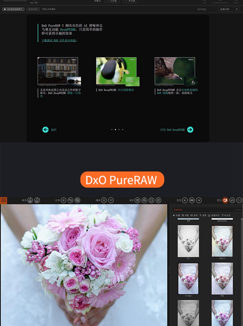 PS插件：2023最新DxO全家桶PS插件降噪调色胶片DxO PhotoLab/ViewPoint/PureRAW/FilmPack附独家安装教程 插件预设 sucaiwan.com
