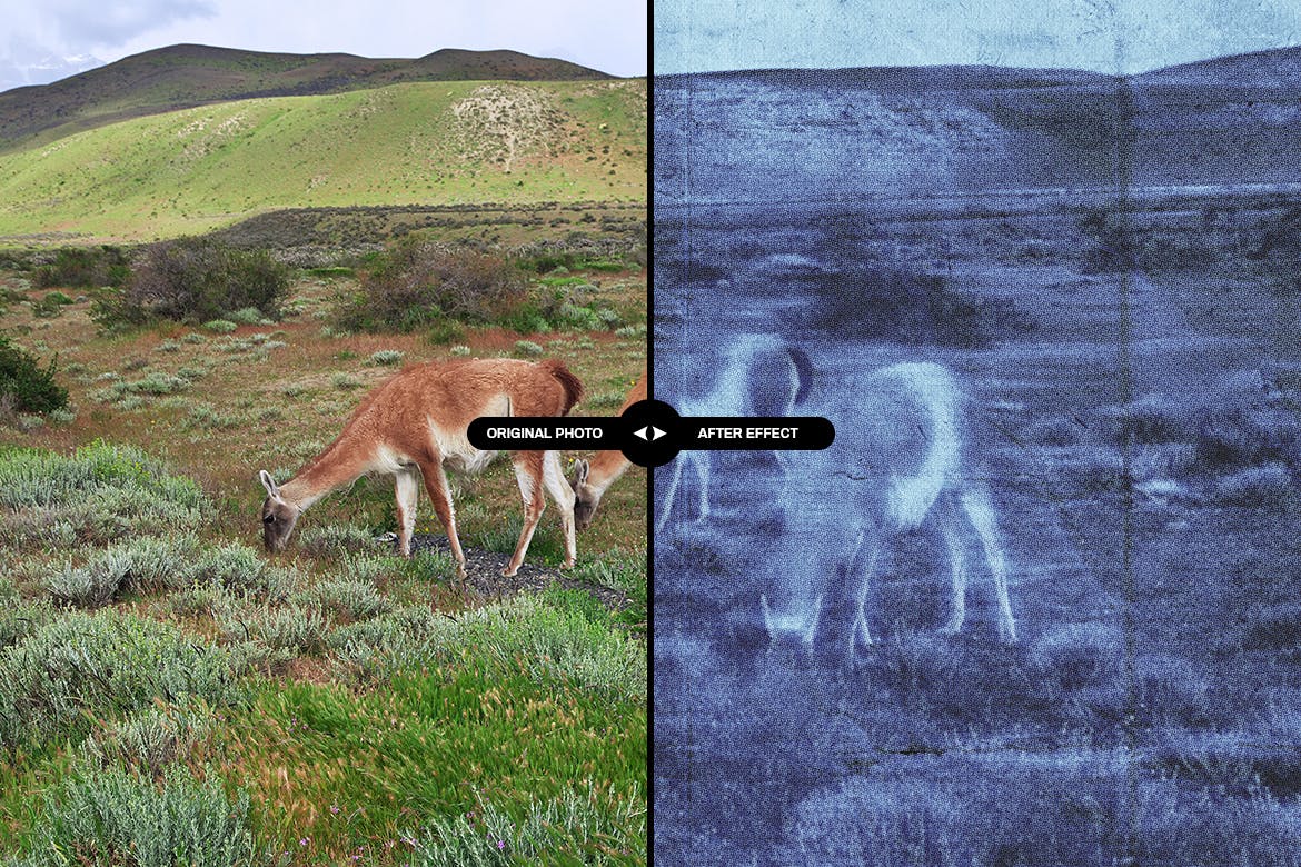 60年代老式打印机照片效果ps图层样式 60s Vintage Printer photo effect 插件预设 sucaiwan.com