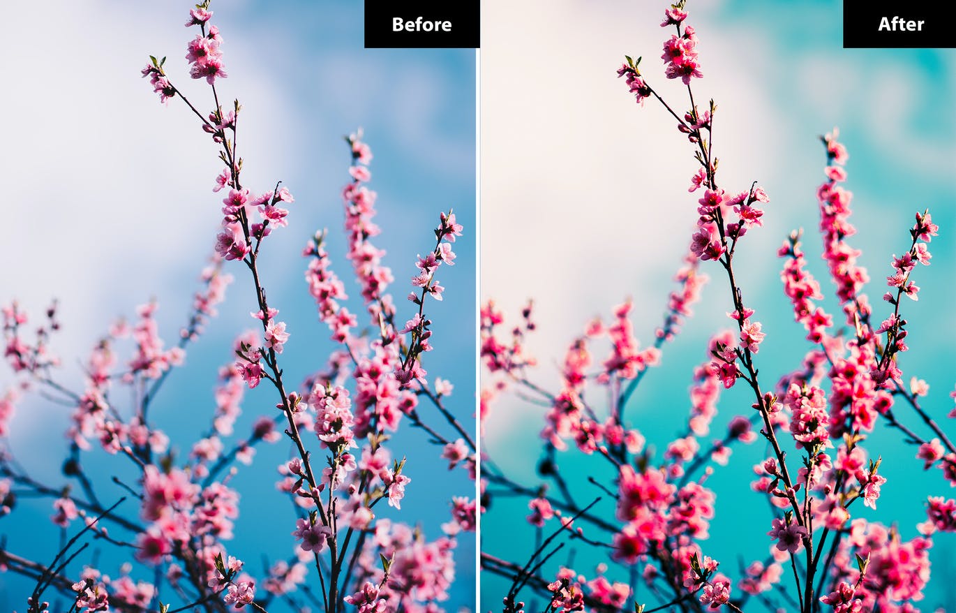 春季风景照后期修图LR+PS预设 5 Spring | Lightroom and Photoshop 插件预设 sucaiwan.com