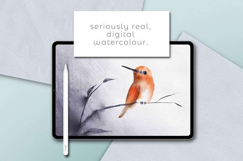 68支逼真自然水彩Procreate笔刷 笔刷资源 sucaiwan.com