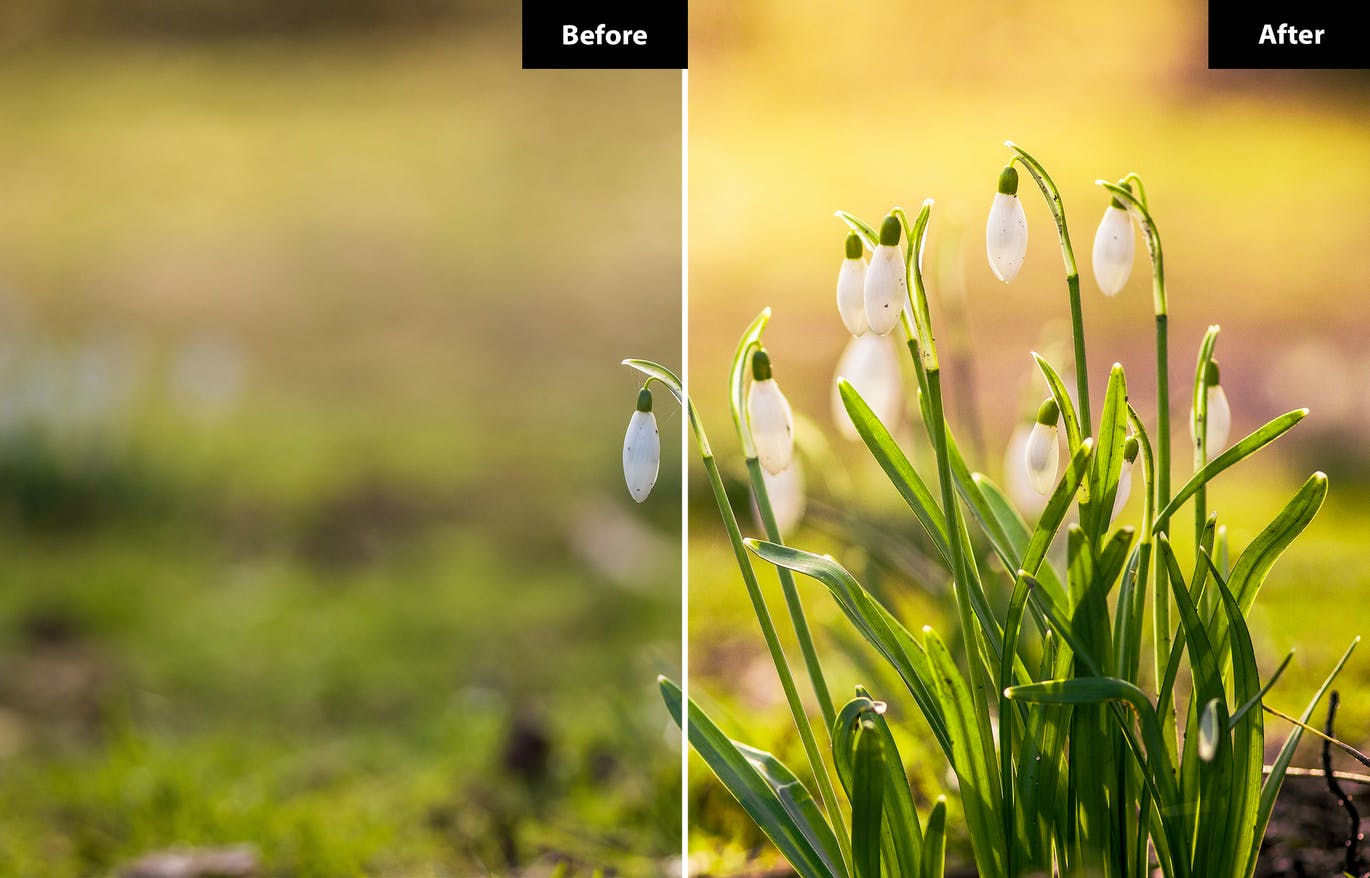 春季风景照后期修图LR+PS预设 5 Spring | Lightroom and Photoshop 插件预设 sucaiwan.com