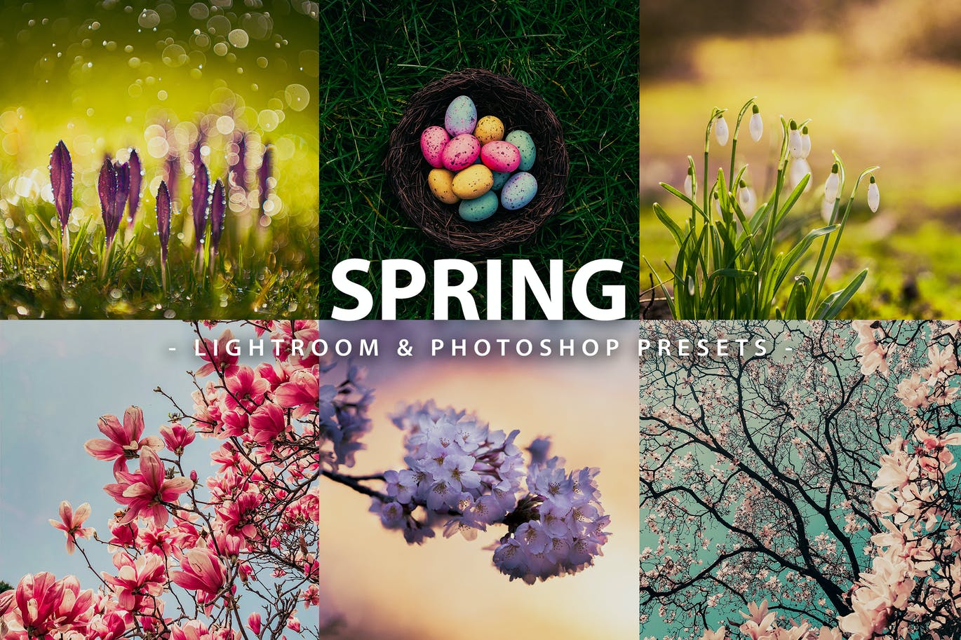 春季风景照后期修图LR+PS预设 5 Spring | Lightroom and Photoshop 插件预设 sucaiwan.com