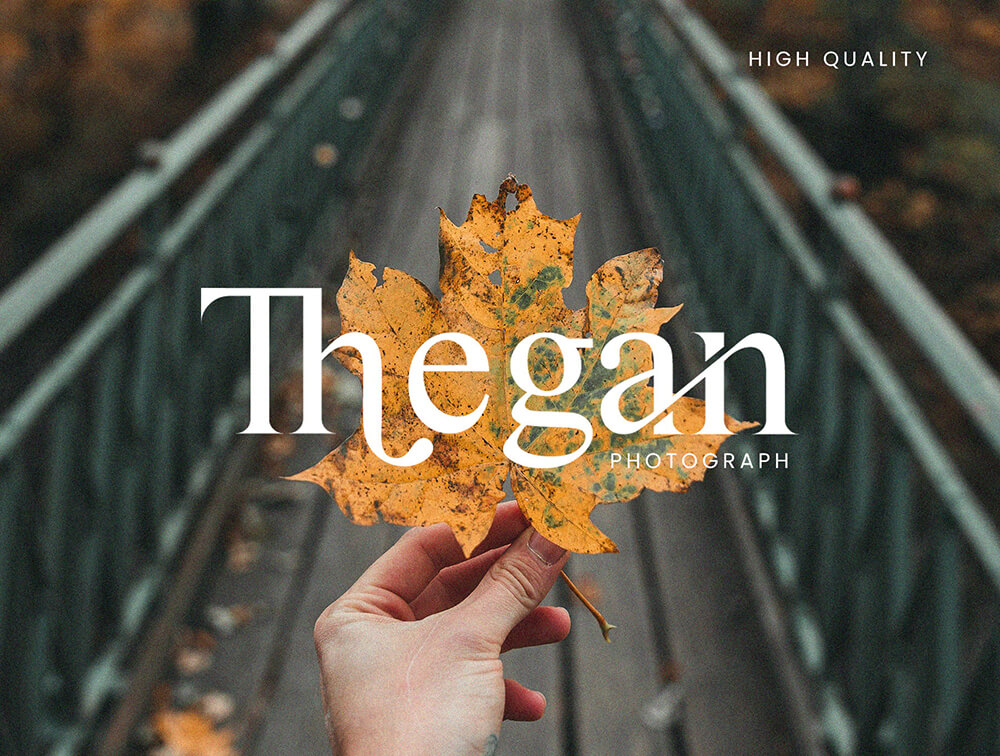 品牌设计衬线字体素材 设计素材 sucaiwan.com