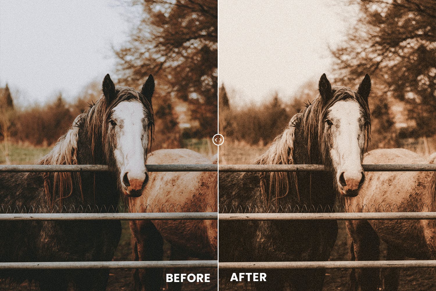 春天图片动作&LR调色滤镜 Moody Spring Action & Lightrom Presets 插件预设 sucaiwan.com