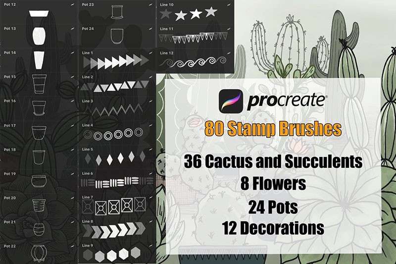 仙人掌盆栽线描画Procreate笔刷 笔刷资源 sucaiwan.com