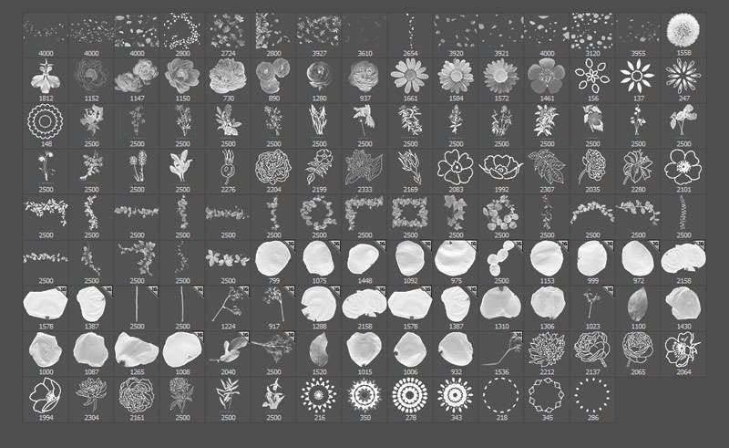 133个花瓣枫叶飘落效果PS笔刷 笔刷资源 sucaiwan.com