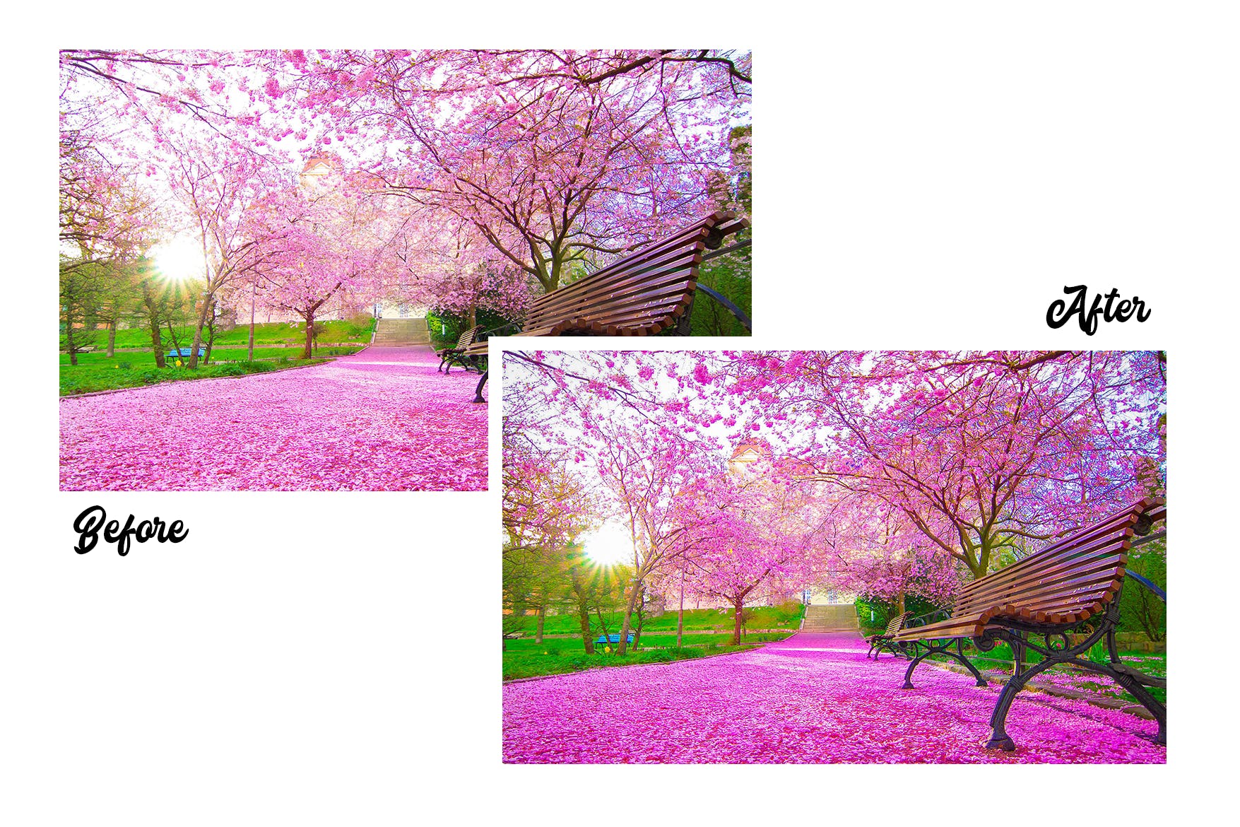 15个高级的春季摄影LR照片调色预设 Spring – 15 Premium Lightroom Presets 插件预设 sucaiwan.com