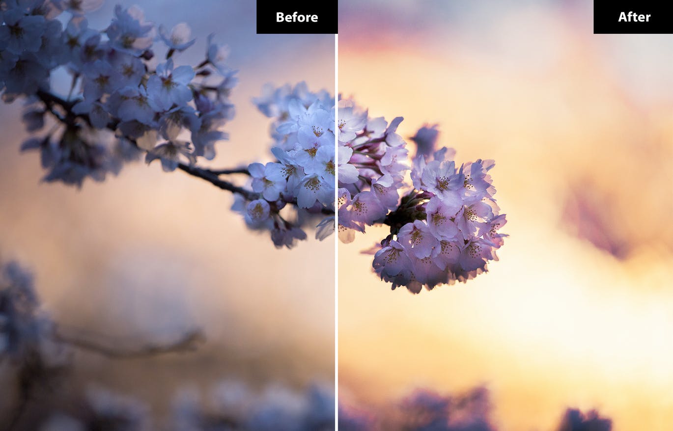 春季风景照后期修图LR+PS预设 5 Spring | Lightroom and Photoshop 插件预设 sucaiwan.com