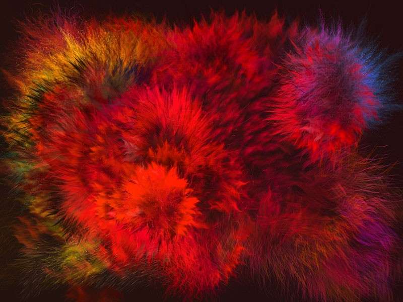 28个动物绒毛Affinity笔刷 笔刷资源 sucaiwan.com