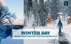 冬季摄影照片调色LR预设 Winter Day Lightroom Presets Dekstop and Mobile