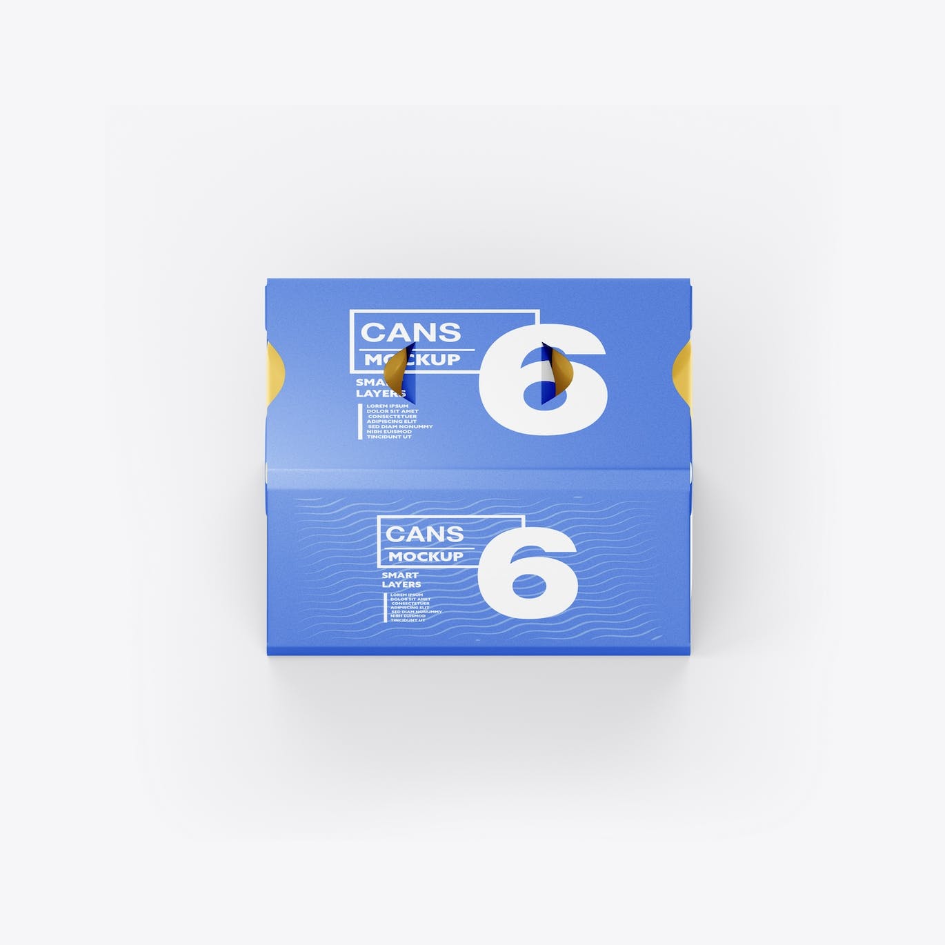 6罐装易拉罐纸箱包装设计样机 6 Cans Pack Mockup 样机素材 sucaiwan.com
