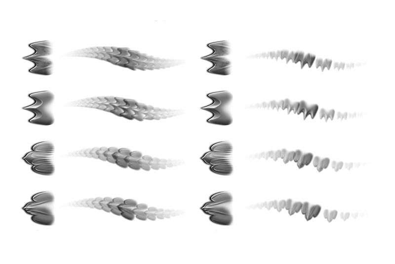 200+Photoshop龙鳞皮肤笔刷套装 笔刷资源 sucaiwan.com