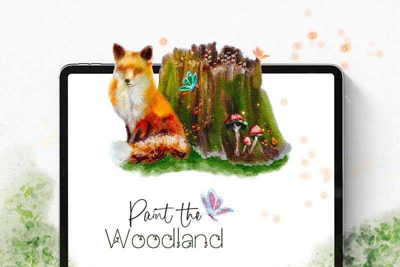 自然与动物水彩绘本Procreate笔刷 笔刷资源 sucaiwan.com