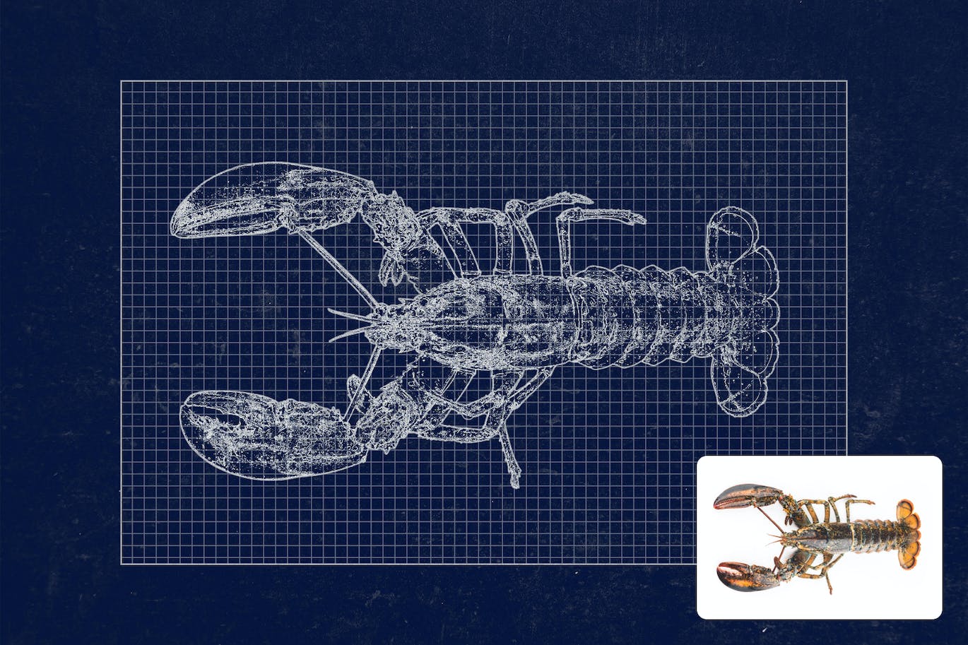 设计蓝图效果PS动作模板 Fake Blueprint Photoshop Action 插件预设 第3张-素材湾丨精选海外优质设计素材资源 设计蓝图效果PS动作模板 Fake Blueprint Photoshop Action 插件预设 sucaiwan.com