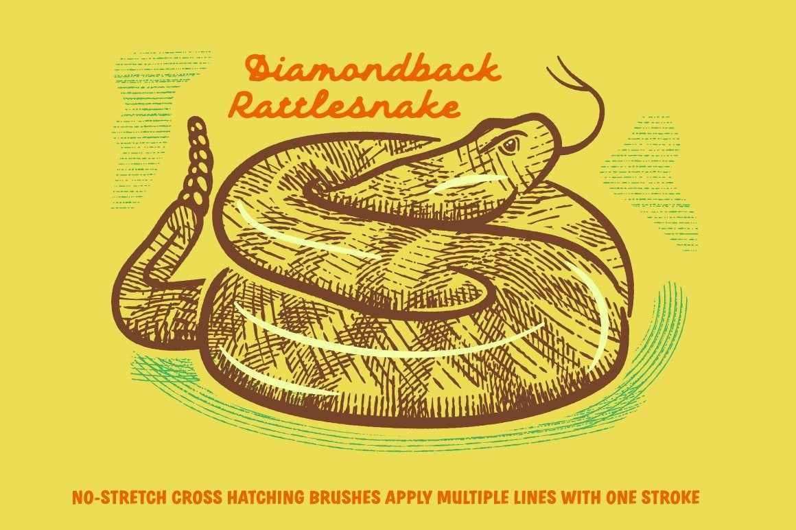 260+木刻版画交叉阴影线AI笔刷 笔刷资源 sucaiwan.com