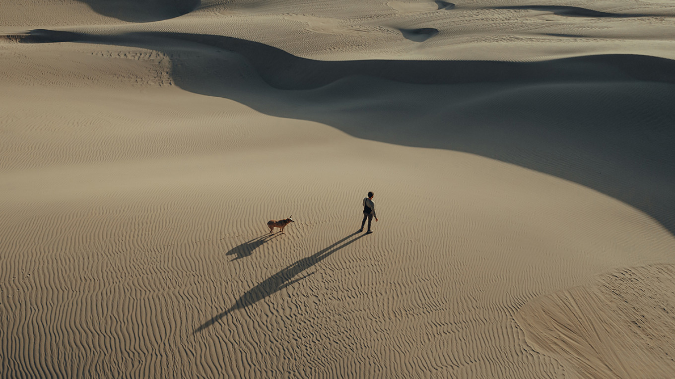 黑白旧电影复古风格美学柔和感LR预设 Dvlop Shortstache Past and Present 插件预设 第4张-素材湾丨精选海外优质设计素材资源 黑白旧电影复古风格美学柔和感LR预设 Dvlop Shortstache Past and Present 插件预设 sucaiwan.com