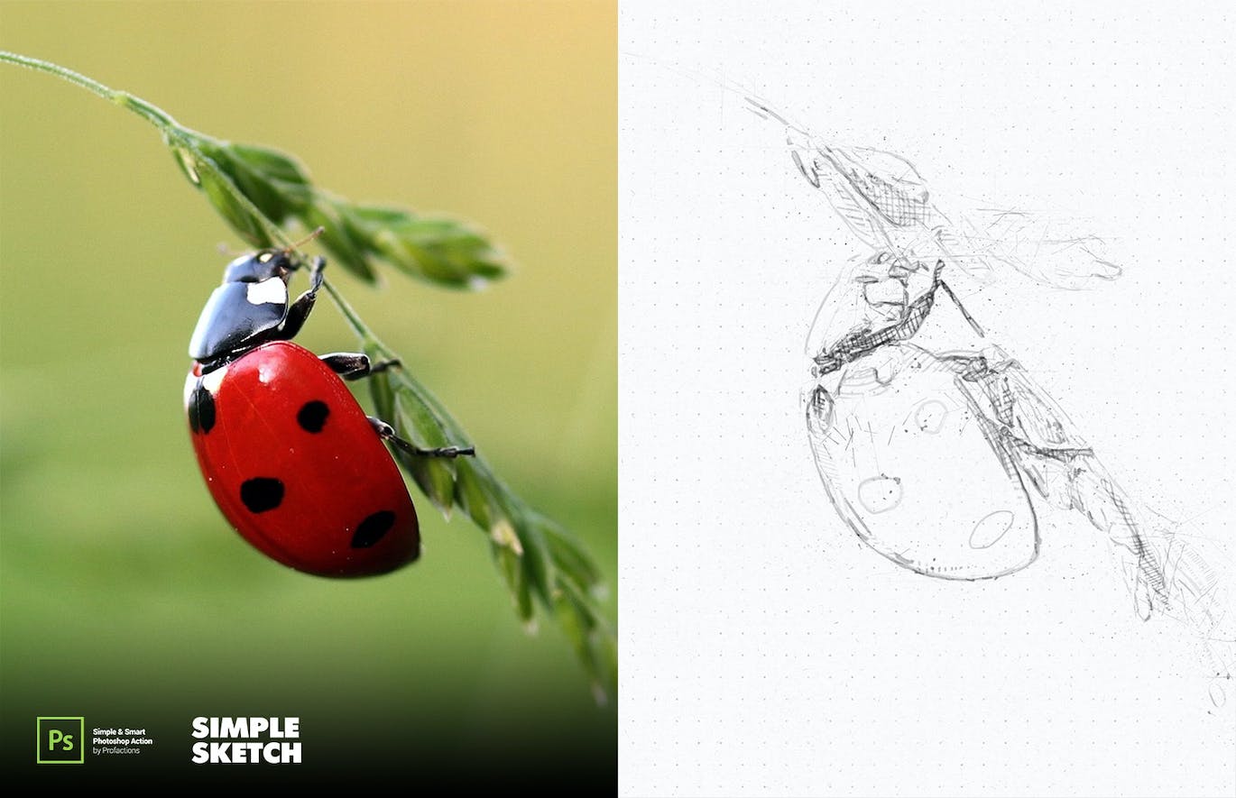 简单素描效果照片处理ps动作 Simple Sketch Photoshop Action 插件预设 sucaiwan.com