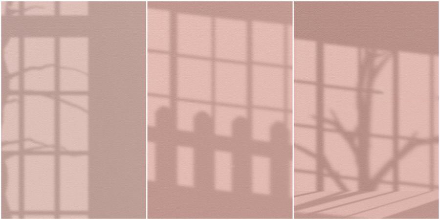 背景素材-窗户栅栏树叶叠加阴影背景图片PNG素材 图片素材 sucaiwan.com